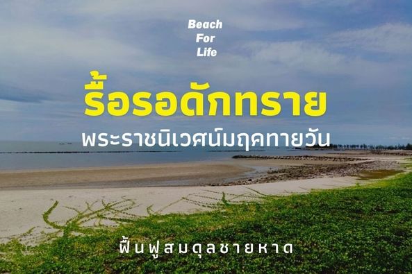Picture of Beach