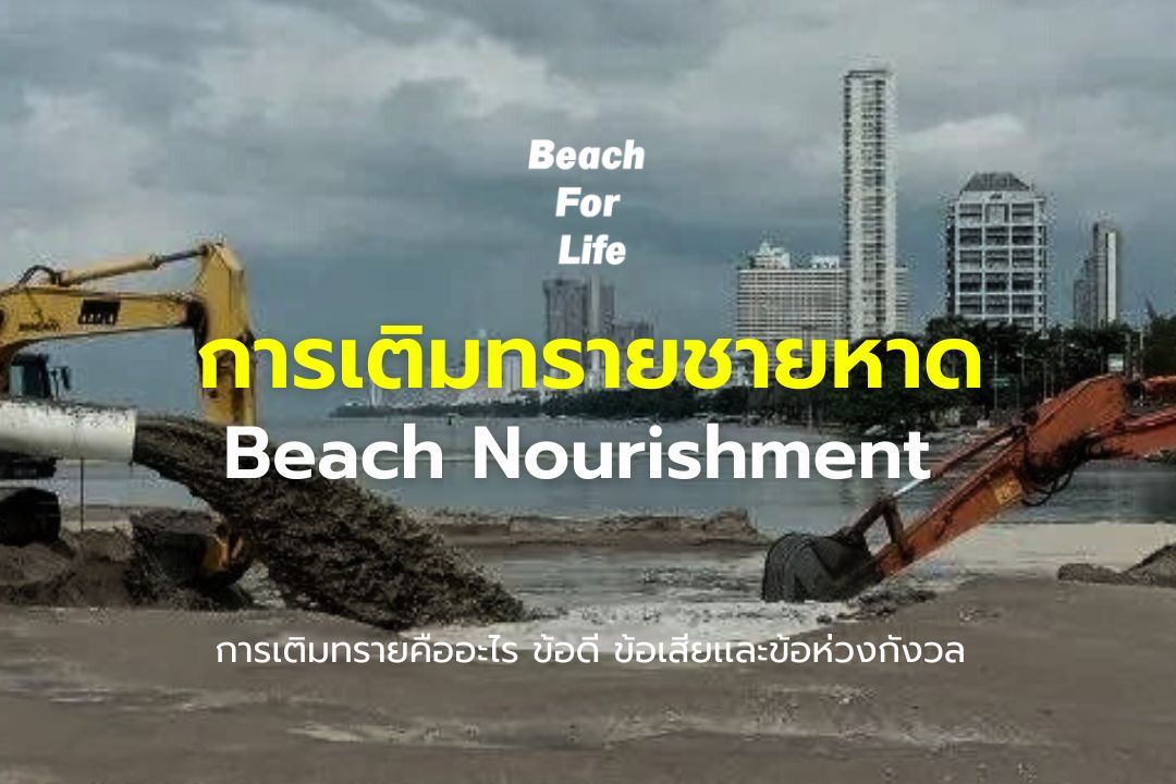 blog thumbnail