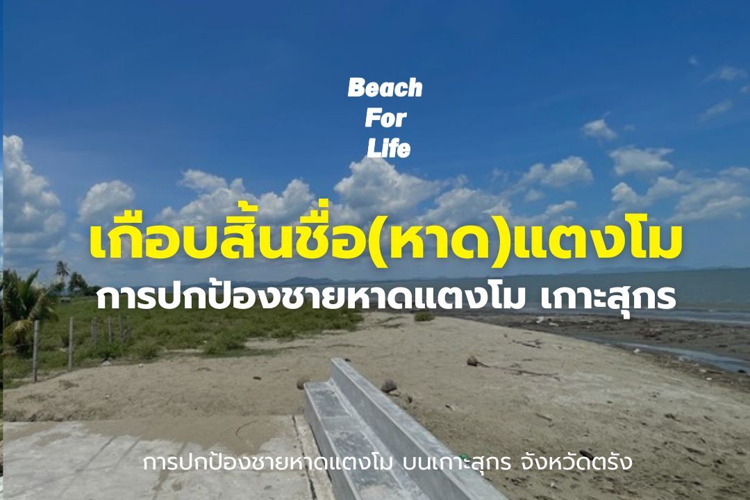 Picture of Beach