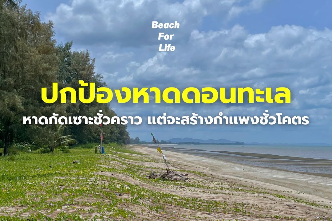 Picture of Beach
