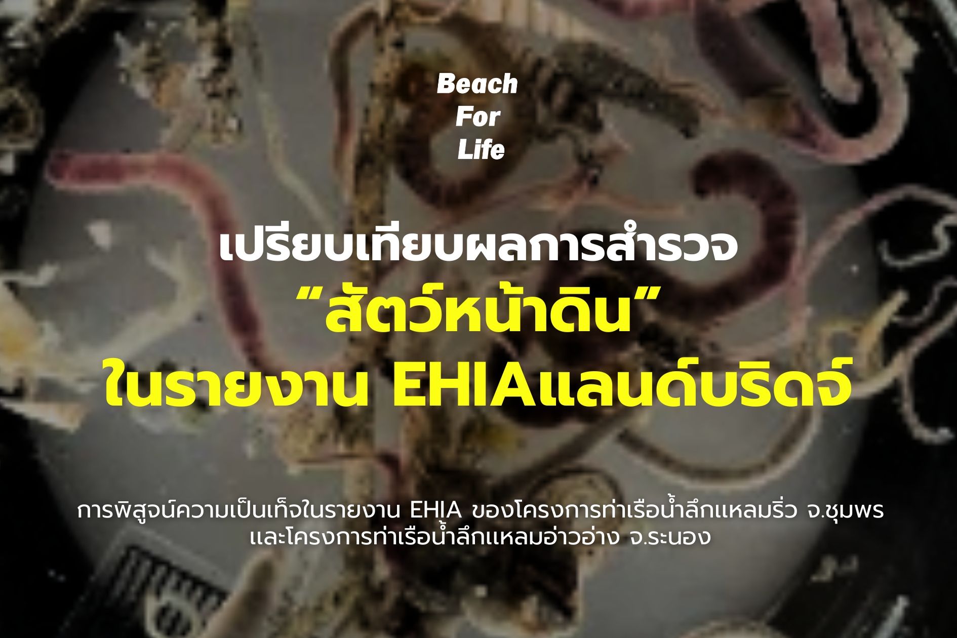 Picture of Beach