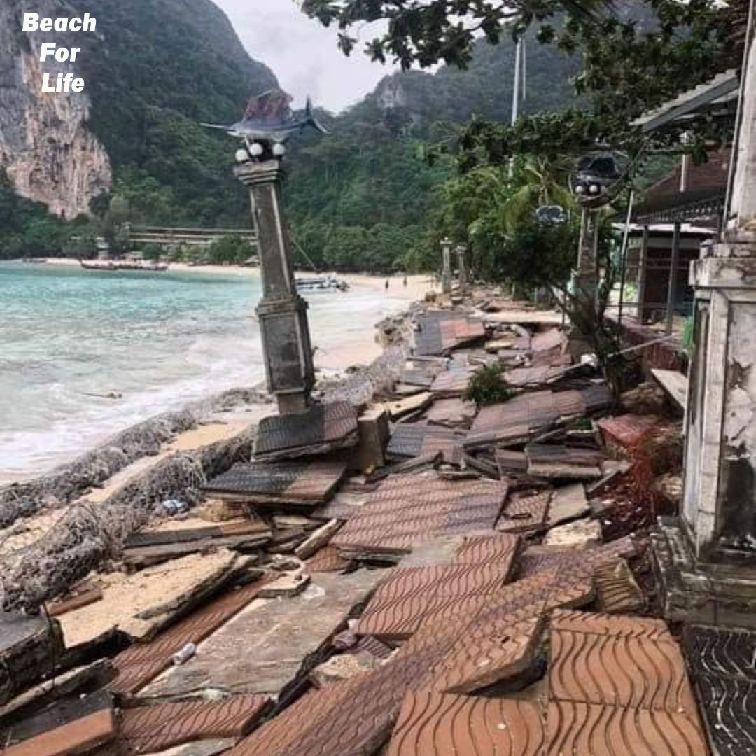 ข่าว BFL (4).jpg