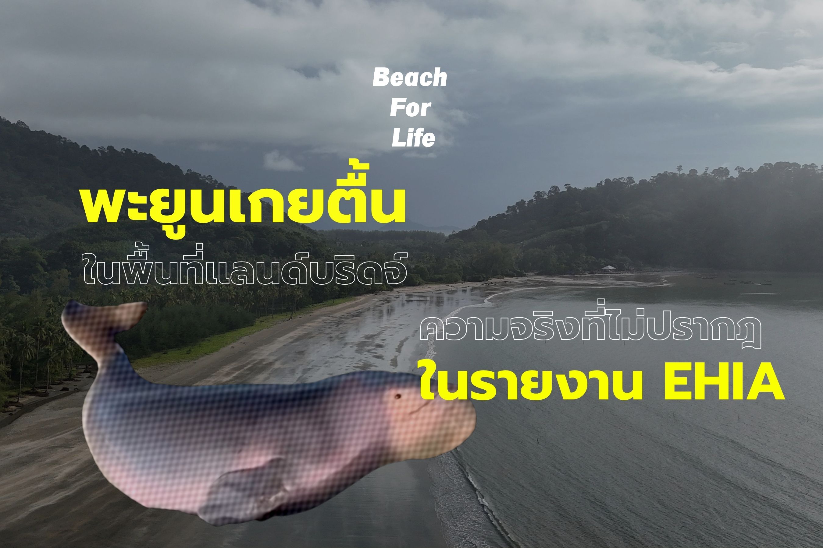 blog thumbnail