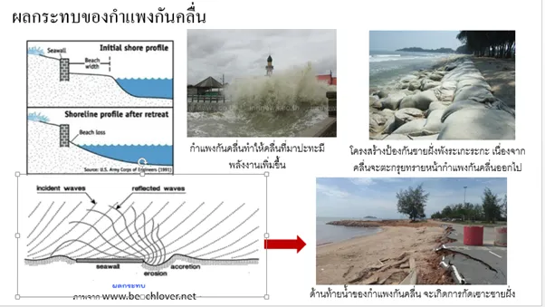 image-14.webp